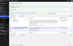 Page screenshot: Plugins &lsaquo; Test site &mdash; WordPress