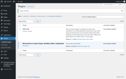 Page screenshot: Plugins ‹ Test site — WordPress