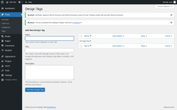 Page screenshot: MyStyle → Design Tags