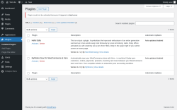 Page screenshot: Plugins ‹ Test site — WordPress