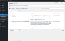 Page screenshot: Plugins ‹ Test site — WordPress