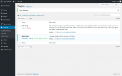 Page screenshot: Plugins &lsaquo; Test site &mdash; WordPress