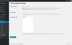Page screenshot: Settings &rarr; Flying Images