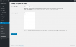 Page screenshot: Settings &rarr; Flying Images