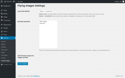 Page screenshot: Settings &rarr; Flying Images