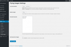Page screenshot: Settings &rarr; Flying Images