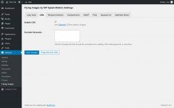 Page screenshot: Settings &rarr; Flying Images &rarr; CDN