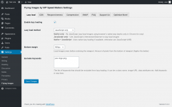 Page screenshot: Settings &rarr; Flying Images