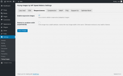 Page screenshot: Settings &rarr; Flying Images &rarr; Responsiveness