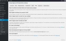 Page screenshot: Settings &rarr; Flying Images &rarr; FAQ