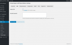 Page screenshot: Settings &rarr; Flying Images &rarr; CDN