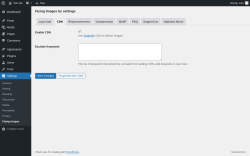 Page screenshot: Settings &rarr; Flying Images &rarr; CDN