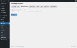 Page screenshot: Settings &rarr; Flying Images &rarr; Responsiveness