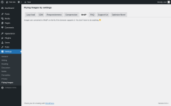 Page screenshot: Settings &rarr; Flying Images &rarr; WebP