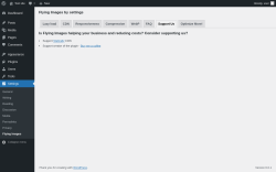 Page screenshot: Settings &rarr; Flying Images &rarr; Support Us