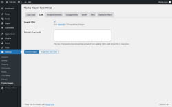 Page screenshot: Settings &rarr; Flying Images &rarr; CDN