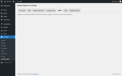 Page screenshot: Settings &rarr; Flying Images &rarr; WebP