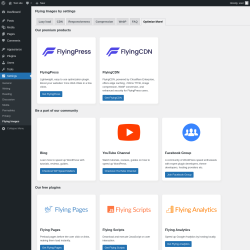 Page screenshot: Settings &rarr; Flying Images &rarr; Optimize More!