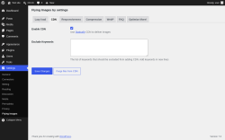 Page screenshot: Settings &rarr; Flying Images &rarr; CDN