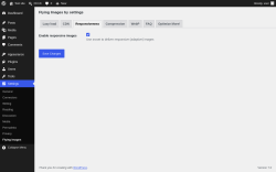 Page screenshot: Settings &rarr; Flying Images &rarr; Responsiveness
