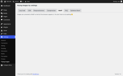 Page screenshot: Settings &rarr; Flying Images &rarr; WebP