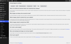 Page screenshot: Settings &rarr; Flying Images &rarr; FAQ