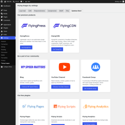 Page screenshot: Settings &rarr; Flying Images &rarr; Optimize More!