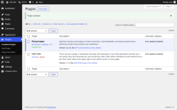 Page screenshot: Plugins &lsaquo; Test site &mdash; WordPress