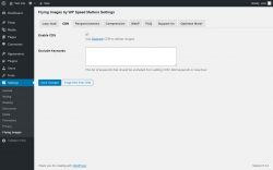 Page screenshot: Settings &rarr; Flying Images &rarr; CDN