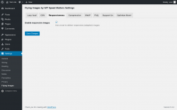 Page screenshot: Settings &rarr; Flying Images &rarr; Responsiveness