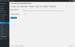 Page screenshot: Settings &rarr; Flying Images &rarr; Compression