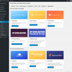 Page screenshot: Settings &rarr; Flying Images &rarr; Optimize More!