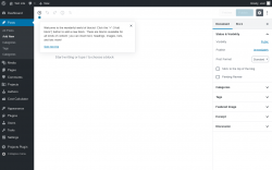 Page screenshot: Add New Post &lsaquo; Test site &mdash; WordPress