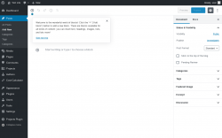Page screenshot: Add New Post &lsaquo; Test site &mdash; WordPress