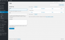 Page screenshot: Projects &rarr; Tags