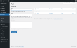 Page screenshot: Projects &rarr; Tags