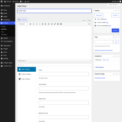 Page screenshot: Projects &rarr; Add Post