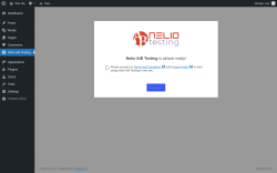 Page screenshot: Nelio A/B Testing