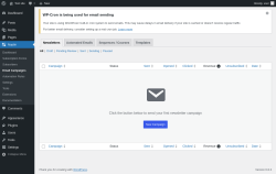 Page screenshot: Noptin → Email Campaigns