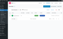 Page screenshot: Noptin → Subscribers