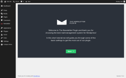 Page screenshot: Welcome &lsaquo; Test site &mdash; WordPress