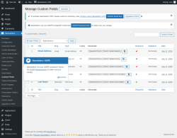Page screenshot: Newsletters → Custom Fields