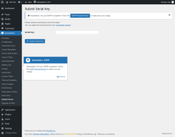 Page screenshot: Newsletters → Submit Serial