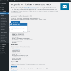 Page screenshot: Newsletters → Upgrade to PRO