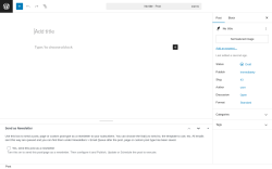 Page screenshot: Add Post ‹ Test site — WordPress