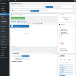 Page screenshot: Newsletters → Create Newsletter