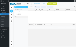 Page screenshot: NEX-Forms → Form Entries