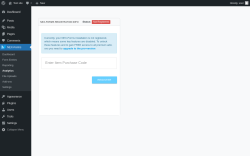 Page screenshot: NEX-Forms → Analytics