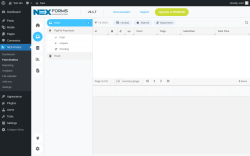 Page screenshot: NEX-Forms → Form Entries