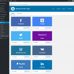 Page screenshot: Settings &rarr; Nextend Social Login